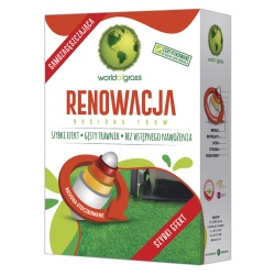 Renowacja World of Grass