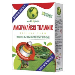 Amerykański trawnik