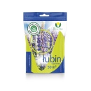 łubin