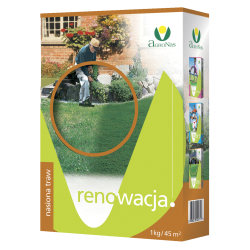 Renowacja
