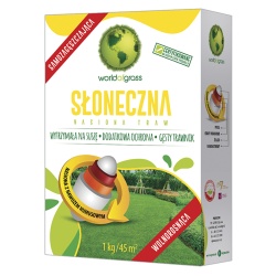 Słoneczna