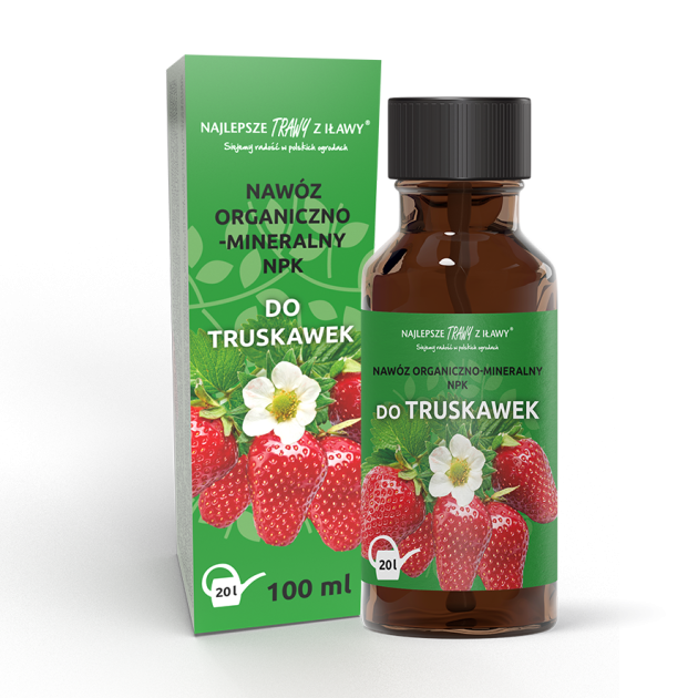 truskawki