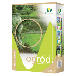 Ogród