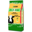 Copy-of-ByczaTrawa_4_wiz