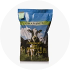 GRAMINAS-MINIATURKI-KOLA-STRONA-04