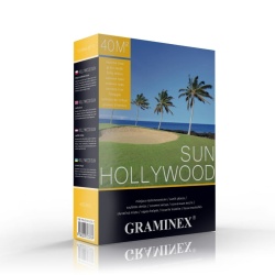Hollywood sun
