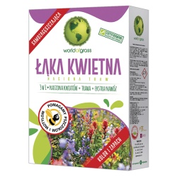 Łąka kwietna