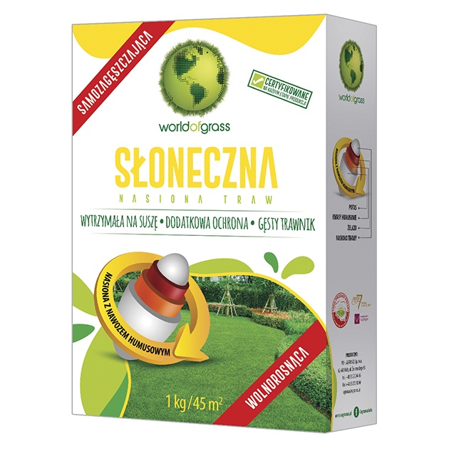 Copy of WORLD-2019-sloneczna