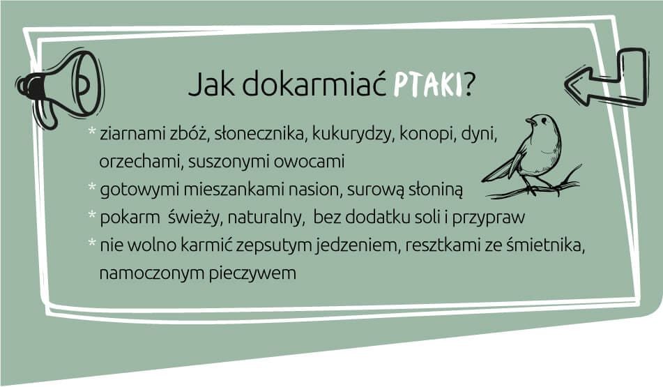 ptak-4.jpg